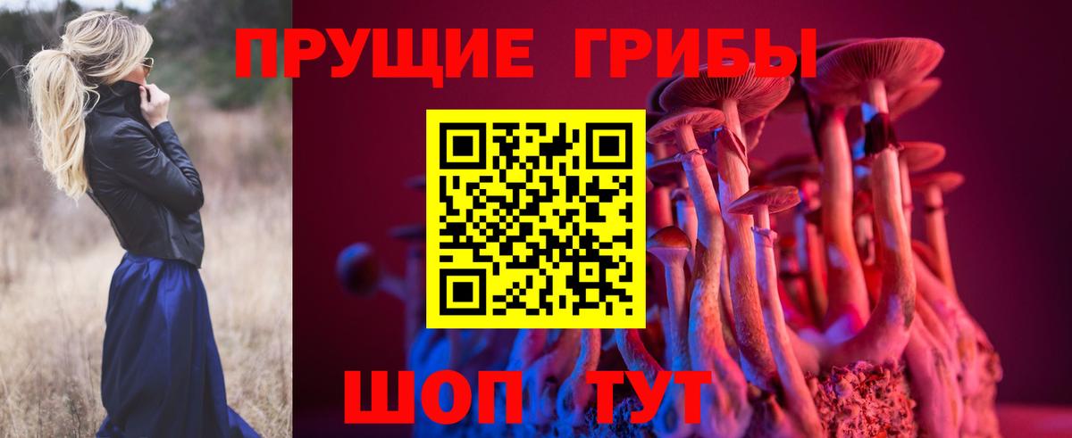 Кемерово  Псилоцибиновые грибы ЛСД  Вход с VPN 