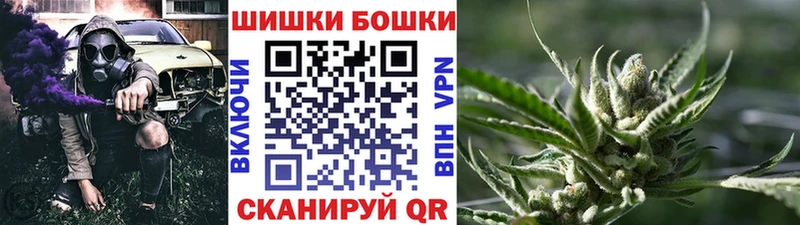 где можно купить   Кемерово  Бошки Шишки ГИДРОПОН 